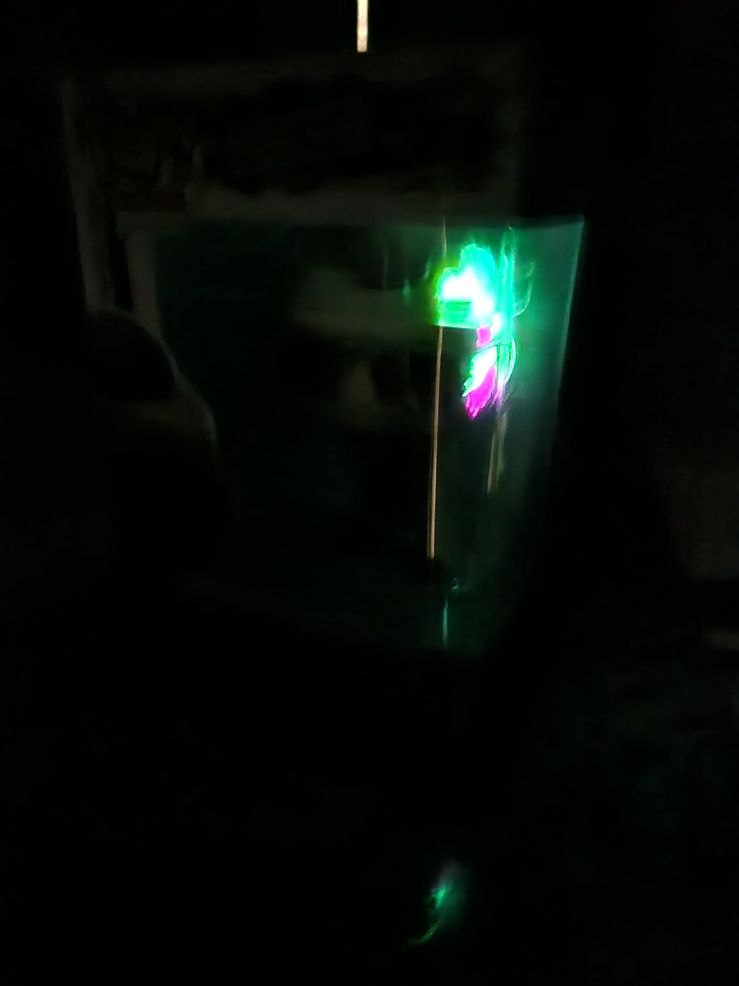 Funko Pop! Beetlejuice Wolf Jackson Glow