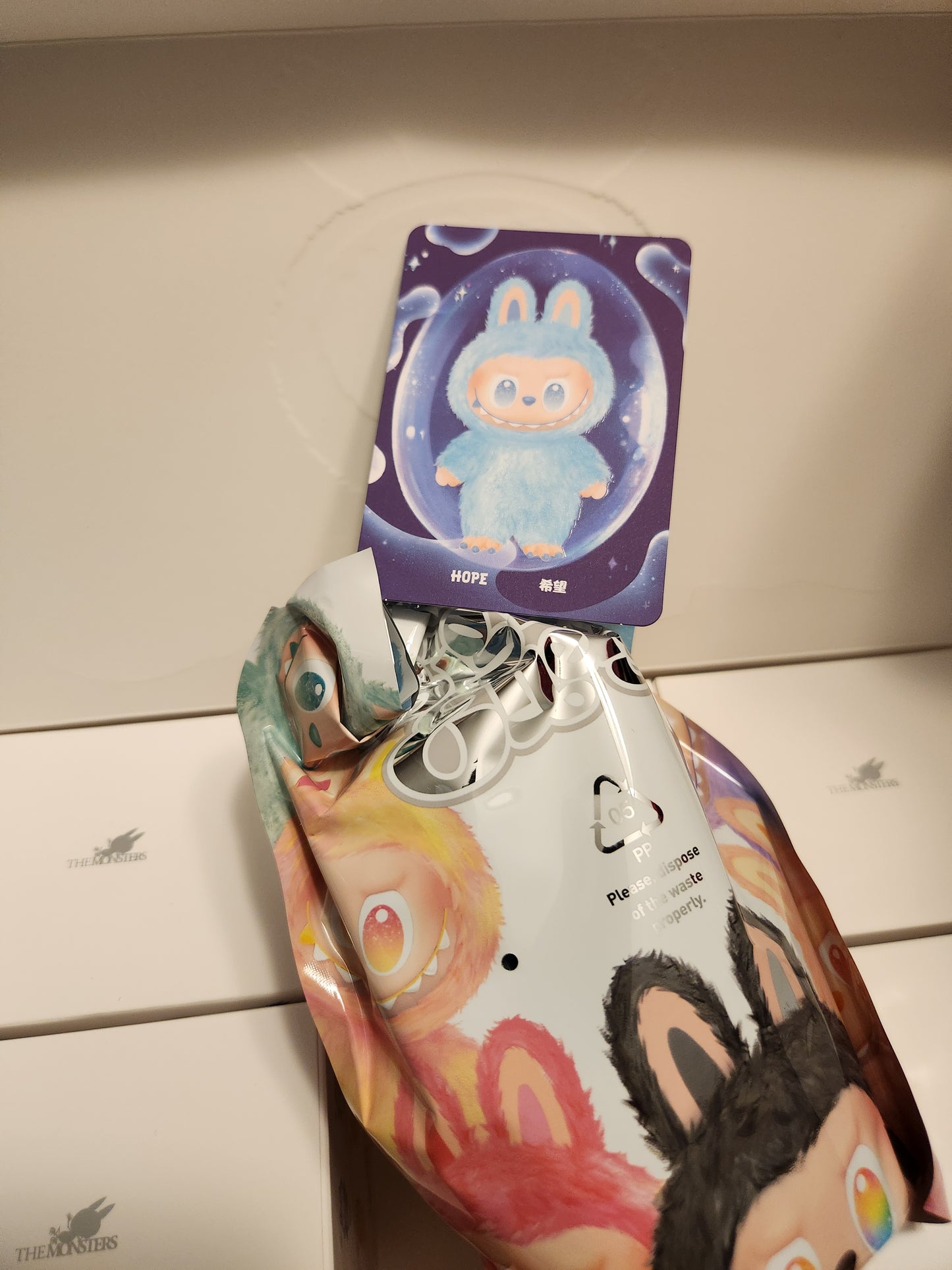 Pop Mart The Monsters Big Into Energy Vinyl Face Plush Keychain (1 Random box)