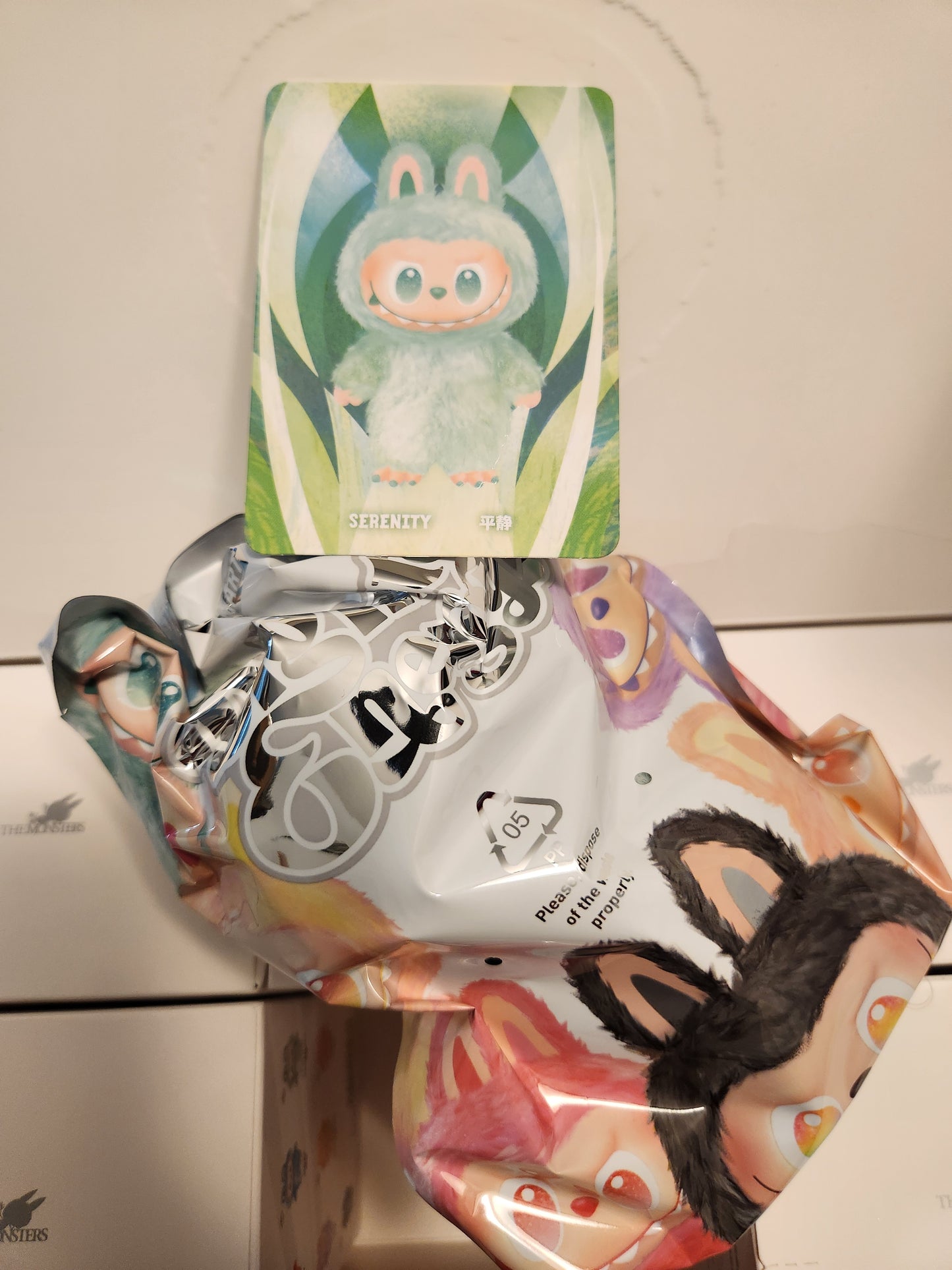 Pop Mart The Monsters Big Into Energy Vinyl Face Plush Keychain (1 Random box)